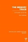 Erich Goldmeier - Memory Trace (Ple: Memory)