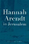 Steven E. Aschheim, Steven E. Aschheim - Hannah Arendt in Jerusalem