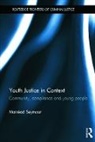 Mairead Seymour, Mairéad Seymour - Youth Justice in Context