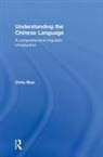 Chris Shei, Shei Chris - Understanding the Chinese Language