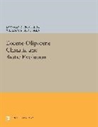 Donald R. Berggren Prothero, William A. Berggren, Berggren William A., Donald R. Prothero, Prothero Donald R. - Eocene-Oligocene Climatic and Biotic Evolution