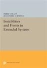 Pierre Collet, Pierre Eckmann Collet, Collet Pierre, Jean-Pierre Eckmann, Eckmann Jean-Pierre - Instabilities and Fronts in Extended Systems