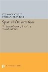 Hermann Schone, Schone Hermann - Spatial Orientation