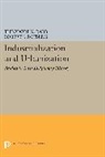 Theodore K. Rotberg Rabb, Theodore K. Rabb, Rabb Theodore K., Robert I. Rotberg, Rotberg Robert I. - Industrialization and Urbanization