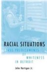 John Hartigan, John Jr. Hartigan - Racial Situations