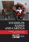 Robert J. Bunker, RobertJ. Bunker, Bunker Robert J., John P. Sullivan, Sullivan John P. - Studies in Gangs and Cartels