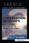Steven Blader, Blader Steven, Tom Tyler, Tom Blader Tyler, Tyler Tom - Cooperation in Groups