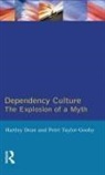 Hartley Dean, Hartley Taylor-Gooby Dean, Peter Taylor-Gooby, Taylor-Gooby Peter - Dependency Culture