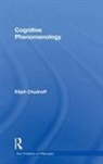 Elijah Chudnoff, Chudnoff Elijah - Cognitive Phenomenology