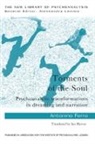 Antonino Ferro, Antonino (Private Practice Ferro - Torments of the Soul