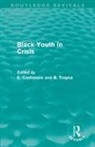 E. (Ashton University Cashmore, E. Cashmore, Cashmore E., B. Troyna - Black Youth in Crisis (Routledge Revivals)