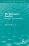 David Downes, David (London School of Economics Downes, David (London School of Economics London S Downes - Delinquent Solution (Routledge Revivals)