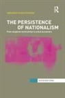 Angharad Closs Stephens, Angharad (Swansea University Closs Stephens - Persistence of Nationalism