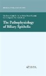 Gianfranco Alpini, Alpini Gianfranco - Pathophysiology of Biliary Epithelia