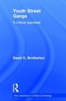 David Brotherton, David C. Brotherton, Brotherton David - Youth Street Gangs