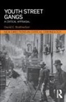 David Brotherton, David C Brotherton, David C. Brotherton - Youth Street Gangs