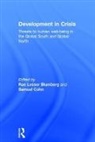 Rae Lesser Cohn Blumberg, Rae Lesser Blumberg, Blumberg Rae Lesser, Samuel Cohn - Development in Crisis