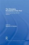 Massimo G Colombo, Massimo G Colombo - Changing Boundaries of the Firm