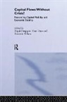 Dipak Uzan Dasgupta, Dipak Dasgupta, Dasgupta Dipak, Marc Uzan, Uzan Marc, Dominic Wilson... - Capital Flows Without Crisis?
