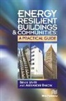 Brian Levite, Brian (Hitachi Consulting Levite, Brian Rakow Levite, Levite Brian, Alex Rakow, Rakow Alex - Energy Resilient Buildings and Communities
