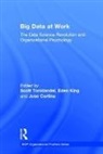 Scott King Tonidandel, Jose M. Cortina, Cortina Jose M., Eden B. King, King Eden B., Scott Tonidandel... - Big Data At Work