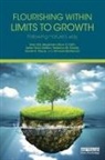 Simone Bastianoni, Bastianoni Simone, Brian D Fath, Brian D. Fath, Fath Brian D., Daniel A Fiscus... - Flourishing Within Limits to Growth