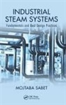 Mojtaba Sabet, Mojtaba (Mojtaba Sabet Sabet, Sabet Mojtaba - Industrial Steam Systems