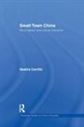 Beatriz Carrillo Garcia, Garcia Beatriz Carrillo - Small Town China