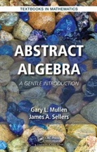 Gary L. Mullen, Gary L. (The Pennsylvania State University Mullen, Gary L. Sellers Mullen, Mullen Gary L., James A. Sellers, Sellers James A. - Abstract Algebra
