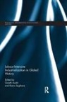 Gareth (London School of Economics London Austin, Gareth Austin, Kaoru Sugihara - Labour-Intensive Industrialization in Global History