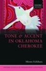 Hiroto Uchihara, Hiroto (Assistant Research Professor Uchihara, Uchihara Hiroto - Tone and Accent in Oklahoma Cherokee