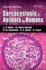 R. Calero-Bernal, Calero-Bernal R., J. P. Dubey, J. P. (Usda Ars Dubey, J. P. Calero-Bernal Dubey, Dubey J. P.... - Sarcocystosis of Animals and Humans
