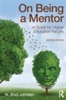 W Brad Johnson, W. Brad Johnson, W. Brad (United States Naval Academy Johnson - On Being a Mentor