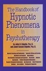 Janet Sasson Edgette, John H Edgette, John H. Edgette, John H. Edgette Edgette, Edgette Janet Sasson, Edgette John H. - Handbook of Hypnotic Phenomena in Psychotherapy