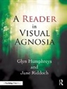 Glyn Humphreys, Glyn (Oxford University Humphreys, Humphreys Glyn, Jane Riddoch, Riddoch Jane - Reader in Visual Agnosia