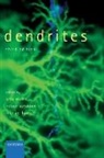 Greg (Head Stuart, Michael Häusser, Nelson Spruston, Spruston Nelson, Greg Stuart, Stuart Greg - Dendrites