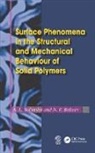 N. F. Bakeev, Bakeev N. F., L. Volynskii, L. (Lomonosov Moscow State University Volynskii, L. Bakeev Volynskii, Volynskii L. - Surface Phenomena in the Structural and Mechanical Behaviour of