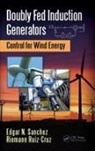 Riemann Ruiz-Cruz, Ruiz-Cruz Riemann, Edgar N. Sanchez, Edgar N. Ruiz-Cruz Sanchez, Sanchez Edgar N. - Doubly Fed Induction Generators