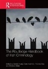 Deirdre Hamilton Healy, Michelle Butler, Yvonne Daly, Daly Yvonne, Claire Hamilton, Deirdre Healy - Routledge Handbook of Irish Criminology