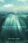 William Kahn, William (Boston University Kahn, William A Kahn, William A. Kahn - Ostrich Effect