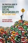 Stephen Asbury, Stephen Ball Asbury, Asbury Stephen, Richard Ball - Practical Guide to Corporate Social Responsibility