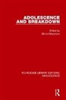 Simon Meyerson, Simon Meyerson, Meyerson Simon - Adolescence and Breakdown