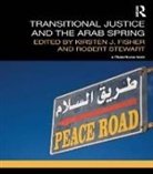 Kirsten Stewart Fisher, KIRSTEN FISHER, Kirsten J Fisher, Kirsten J. Fisher, Fisher Kirsten, Robert Stewart - Transitional Justice and the Arab Spring