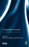 Haydn Twomey Washington, Paul Twomey, Twomey Paul, Haydn Washington - Future Beyond Growth