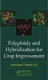 Annaliese S. Mason, Annaliese S. (Department of Plant Breeding Mason, Annaliese S. Mason, Mason Annaliese S. - Polyploidy and Hybridization for Crop Improvement