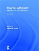 Steven A. (University of Texas At Austin Moore, Steven A. Moore - Pragmatic Sustainability