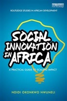 Ndidi Okonkwo Nwuneli, Nwuneli Ndidi Okonkwo - Social Innovation in Africa