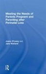 Joann O'Leary, Joann M O'Leary, Joann Warland O''leary, Jane Warland - Meeting the Needs of Parents Pregnant and Parenting After Perinatal