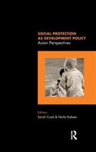 Sarah (University of Sussex Cook, Sarah Cook, Naila Kabeer - Social Protection As Development Policy