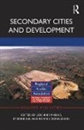 Lochner Nel Marais, Ronnie Donaldson, Donaldson Ronnie, Lochner Marais, Marais Lochner, Etienne Nel... - Secondary Cities and Development
